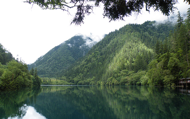 九寨溝，清幽靜謐的熊貓海，湖面開闊而綿長，水色碧藍(lán)，山色倒影歷歷，自然之美，美得自然！